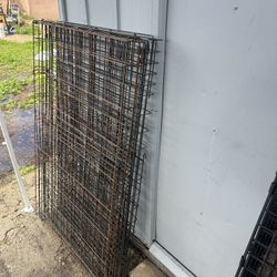 Xl And Large Animal Crates
