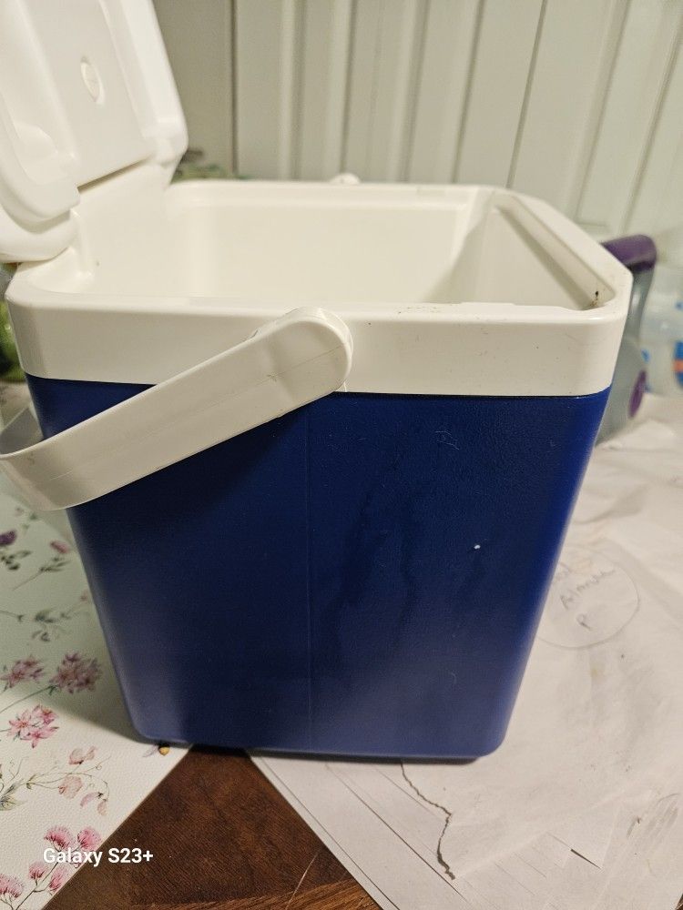 Ice Cooler Holds a six pack