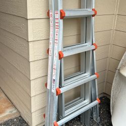 Little Giant Ladder