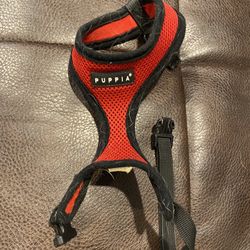 Leash And Harness Set