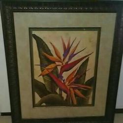 Large Wall Framed Picture! 45" x 39" 