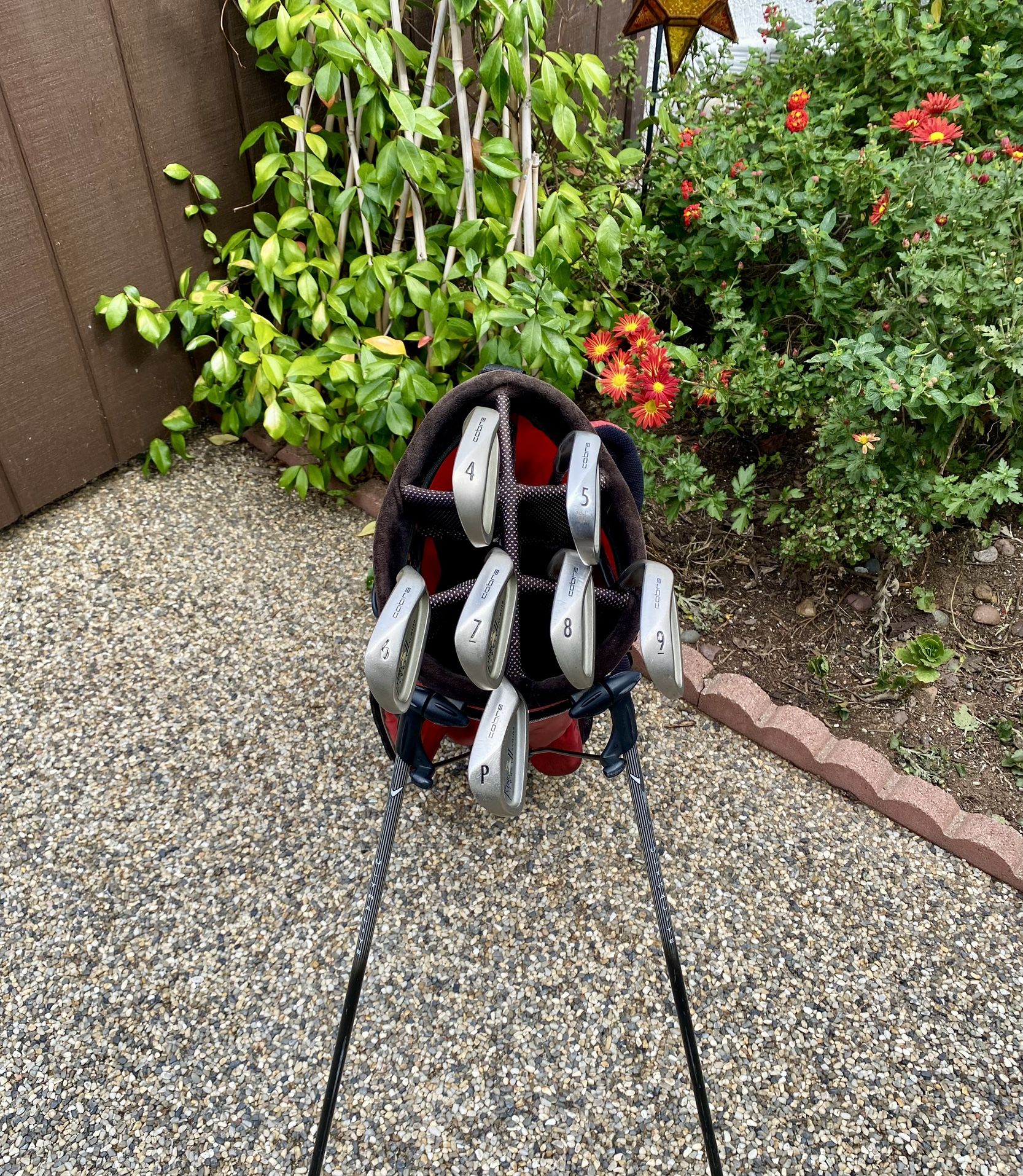 Cobra King Golf Clubs Set