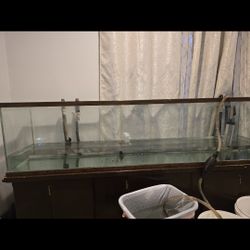 85 Gallon Fish Tank And Stand