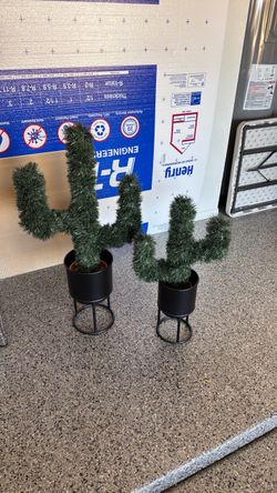 Artificial Cactus Plants with Black Metal Stands – Set of 2