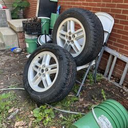 New! 2001 Land Rover Discovery Tyres