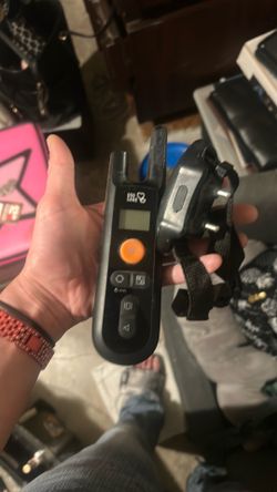 Shock collar and remote for dogs