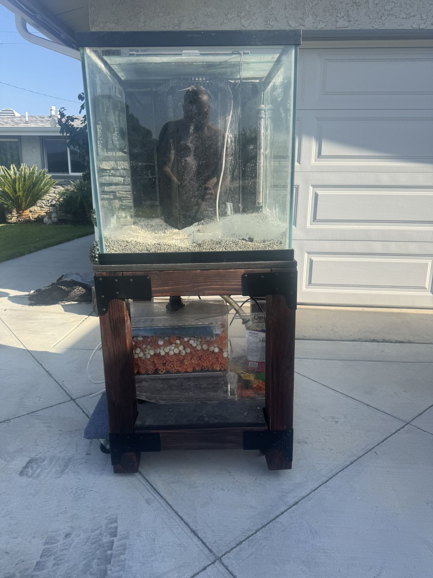 60 Gallon Aquarium Setup - Complete w/ Stand, Filter, Lights & More