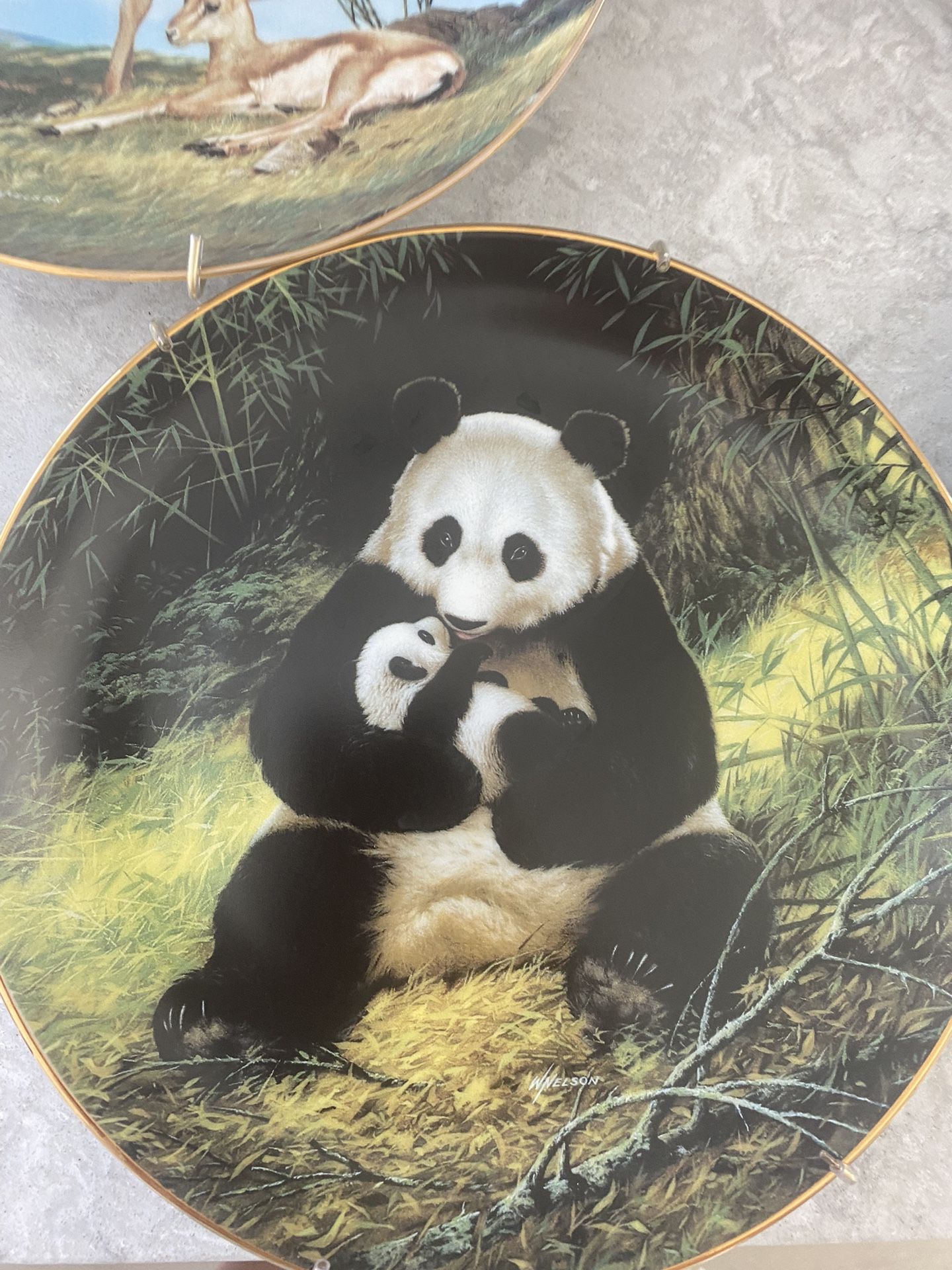 The Panda Collection Plate