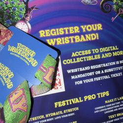 Beyond Wonderland 2026 2 Day VIP tickets 