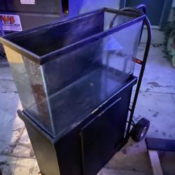 50 Gallon Aquarium Fish Tank