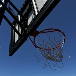 Lifetime Basketball Hoop