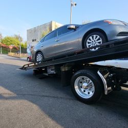 Automotive Transport