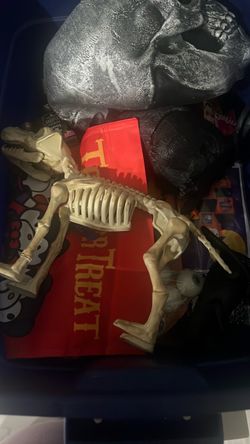 Halloween Decor in a Box
