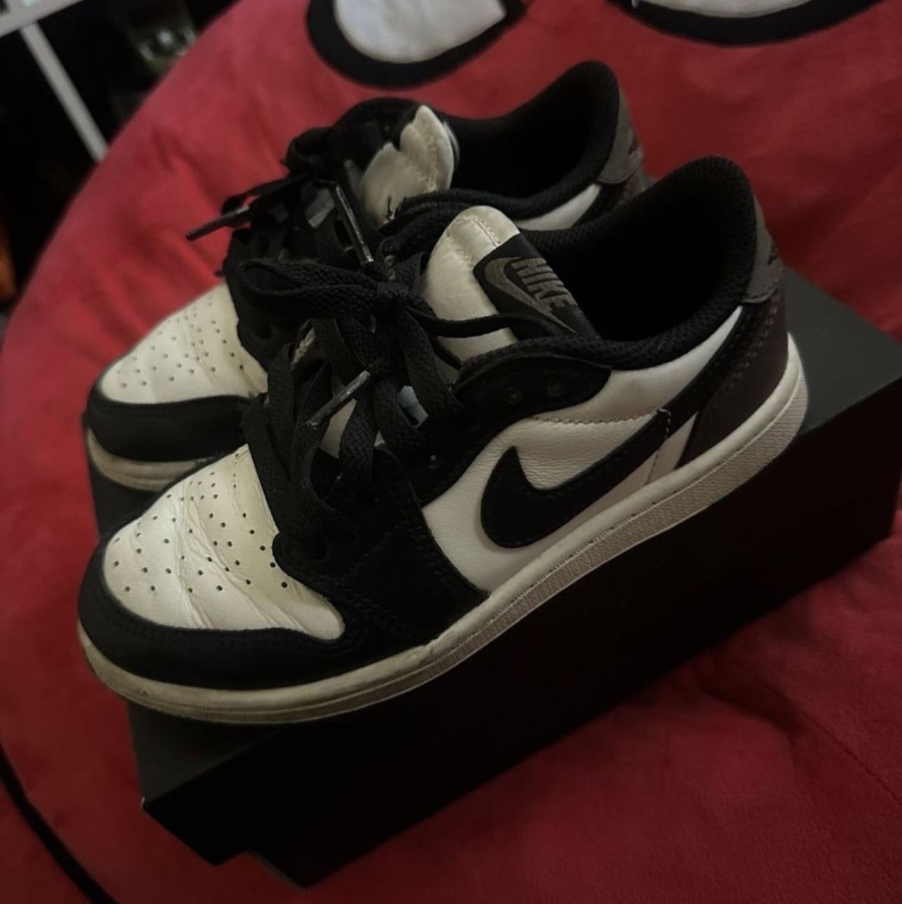 Kids Low Nike Dunks