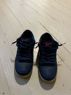 Nike sb shoes size 9.5