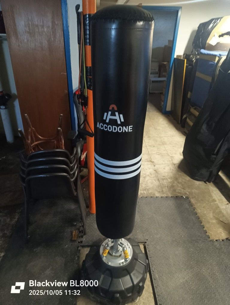 Boxing Bag Standing