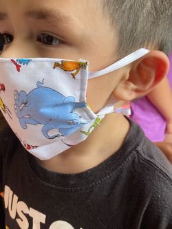 $5 face mask for adult or children