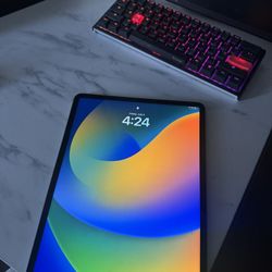 iPad Pro 256GB 