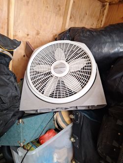 Fan