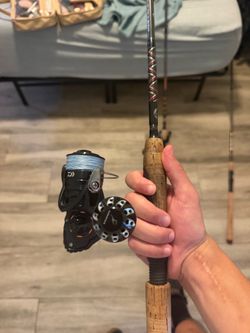 Diawa eliminator on star sequence rod