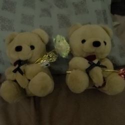 2 Teddy 🧸 Bears 