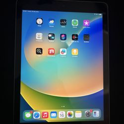 iPad Versión 16.7.10