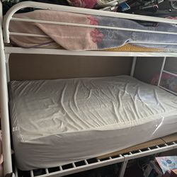 Bunk Beds 