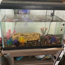Fish Tank And Supply Plus Table 