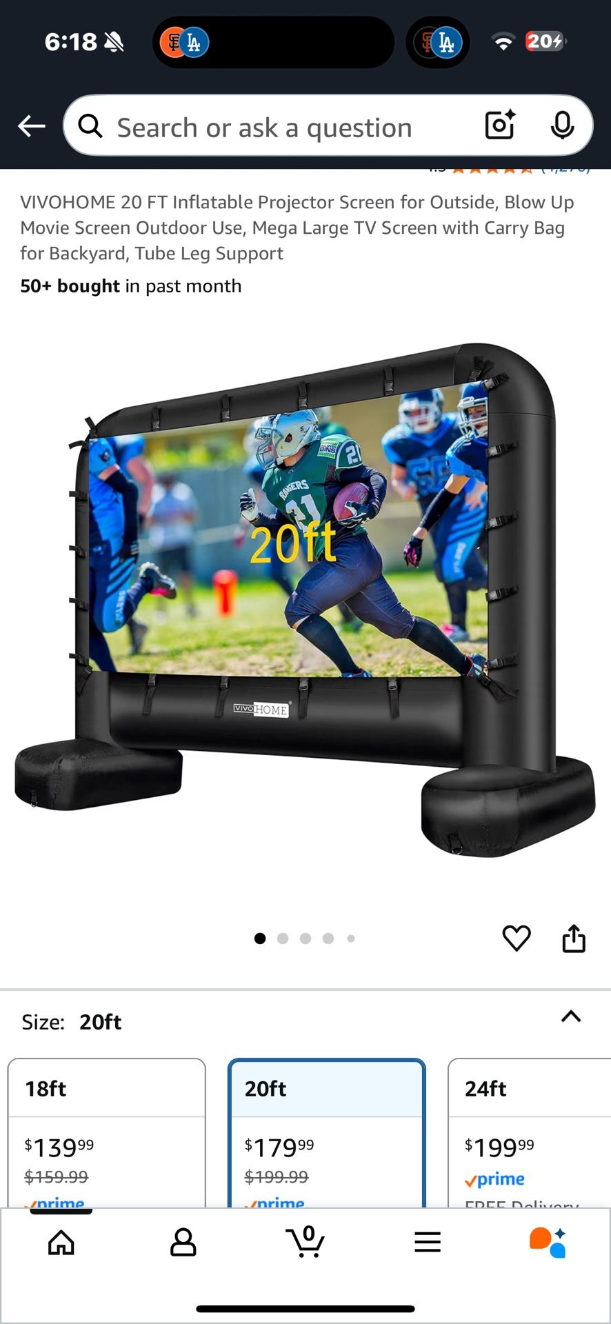 20 Foot Projection Screen