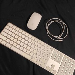 Apple Magic Keyboard (Numeric) + Magic Mouse 2  w/ Cable