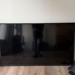 Insignia 65 inch tv