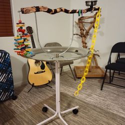 Bird 🐦 🦜 Stand 