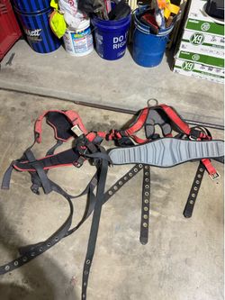 Safety harness