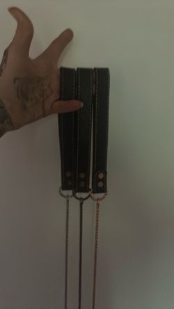 Dog leashes