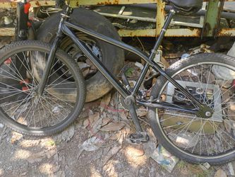 Fixed gear mountain bike