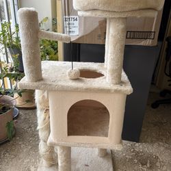 Cat House