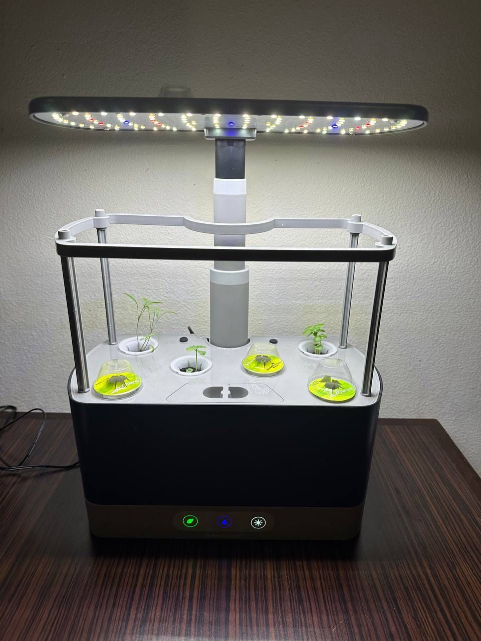 AeroGardenXL With 6 Pods - Black