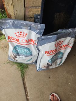 Cat food and litter box