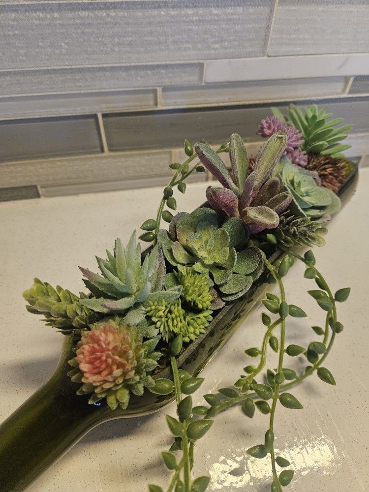 Succulent Decor