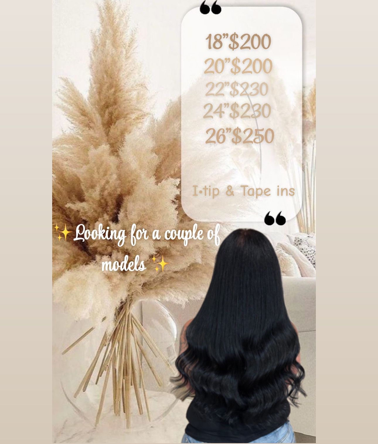 I Need Models These Are My Prices✨