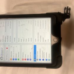 Ipad Mini 5th Gen 64gb 1010 With BRAECN Handheld Case