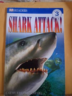 Shark attack