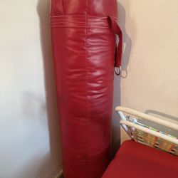 Punching Bag