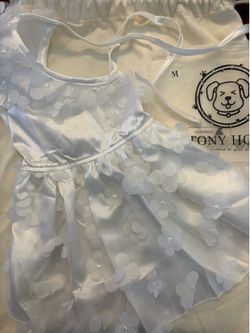 Puppy dress