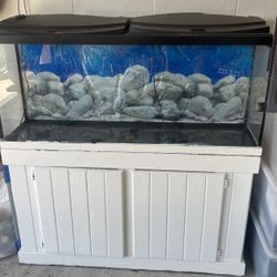 Fish Tank 20 Gallons