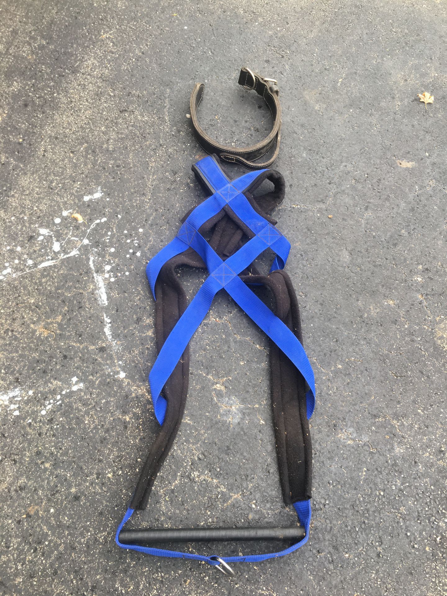 Large leather Dog collar and weight pull harness