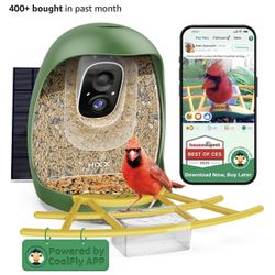 Bird Feeder With Camera 