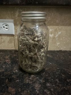 32 oz jar of Lavender- Home Grown chemical free apothecary herbal tea herbalism