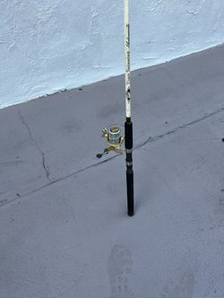 Fishing Rod and reel