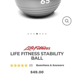 Stability Ball 65 CM Gray